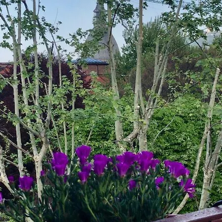 Carlo Alberto * Turín